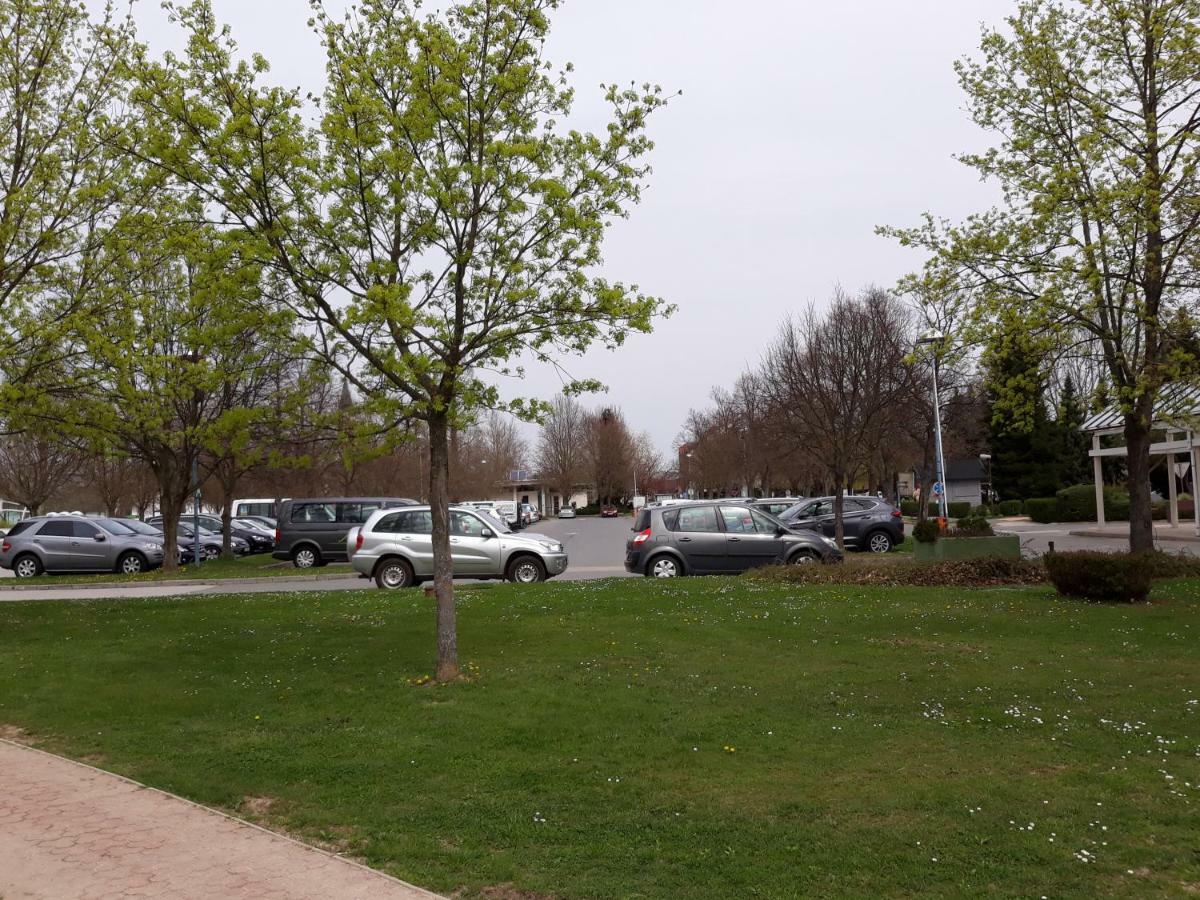 Apartma C-06, C-11 Moravske Toplice Bagian luar foto