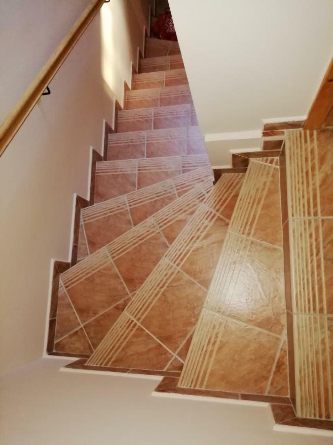 Apartma C-06, C-11 Moravske Toplice Bagian luar foto